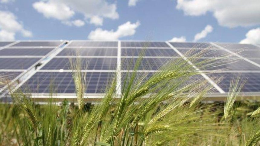 Самоочищающиеся солнечные станции для круглогодичного использования создали в Кузбассе