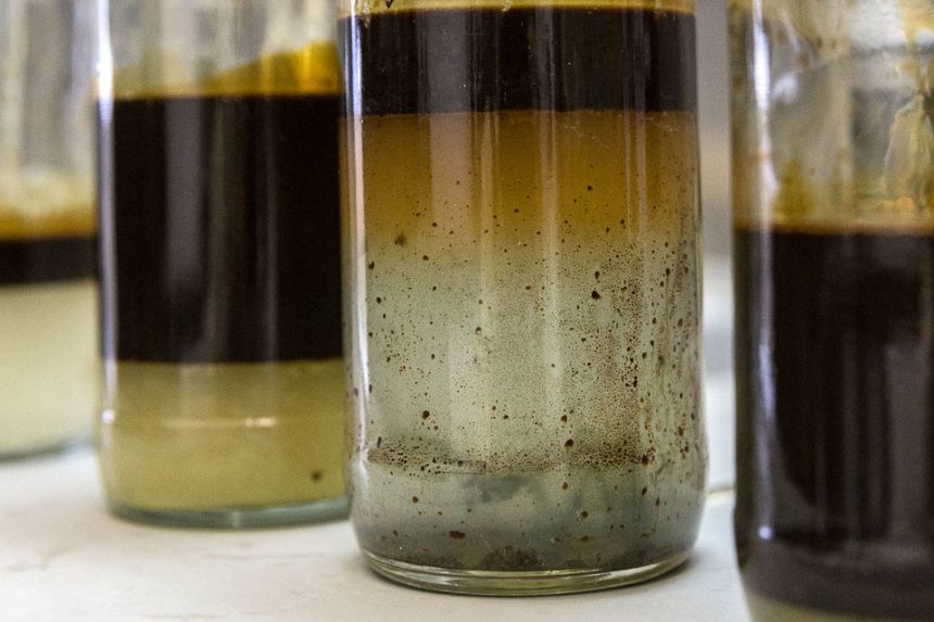 Российские химики создали высокоэффективный метод очистки нефтепродуктов от серы